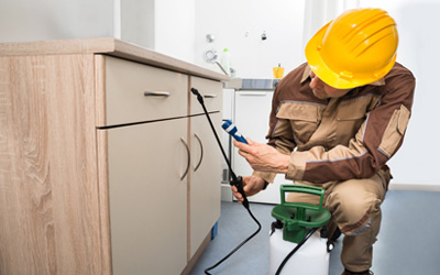 5 Reasons To Hire A Professional Pest Control Company